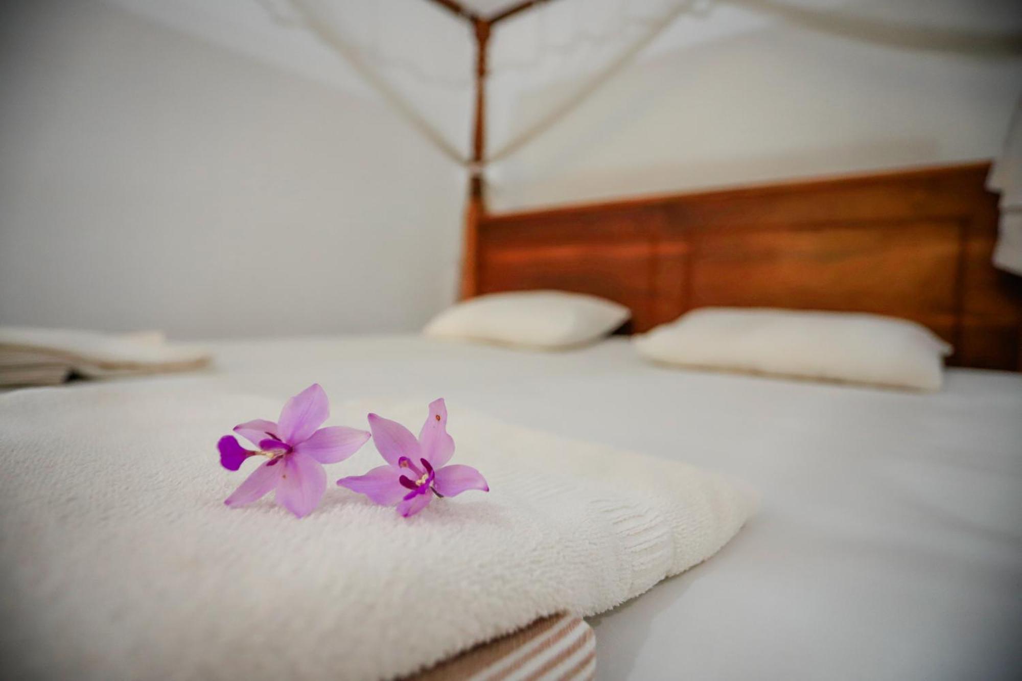 Serene Home Stay Udawalawe Eksteriør bilde
