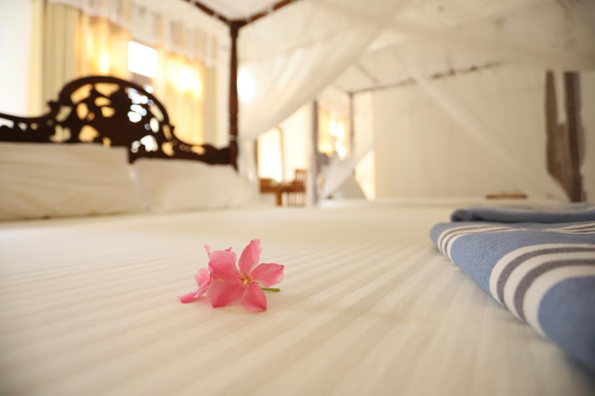 Serene Home Stay Udawalawe Eksteriør bilde